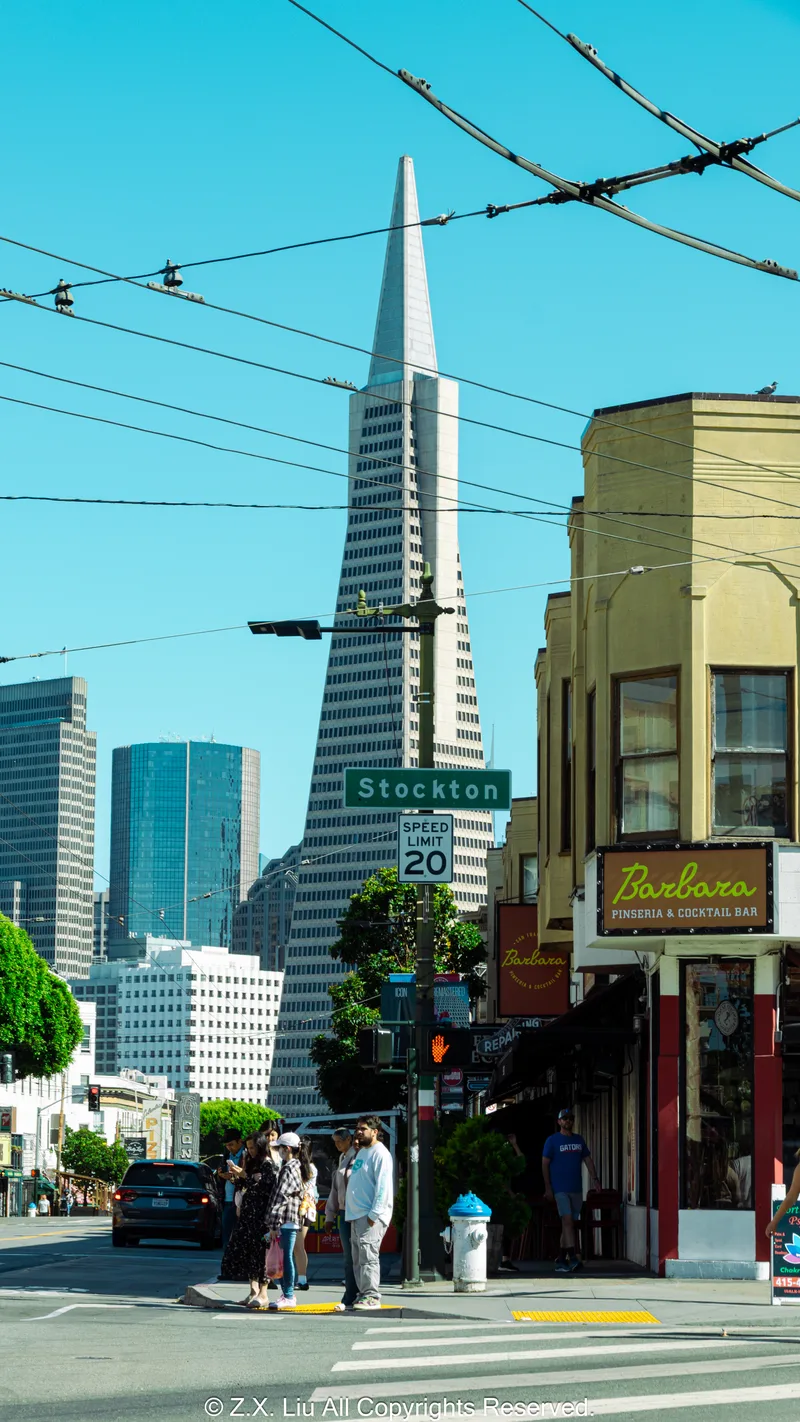Transamerica