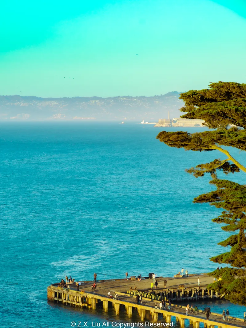 people by the sea