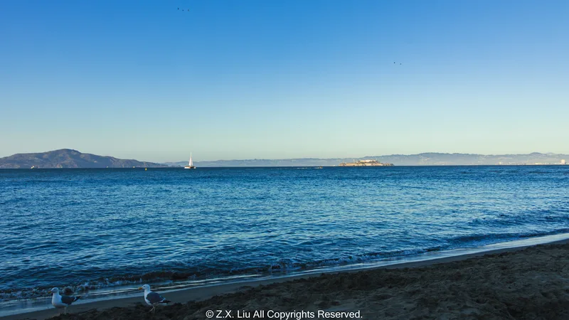 sea