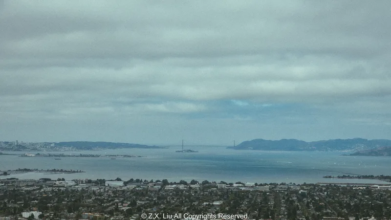 bay