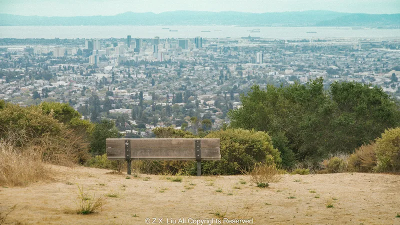 bench and berkeley city