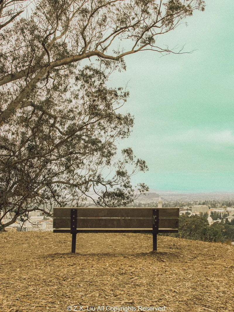 bench